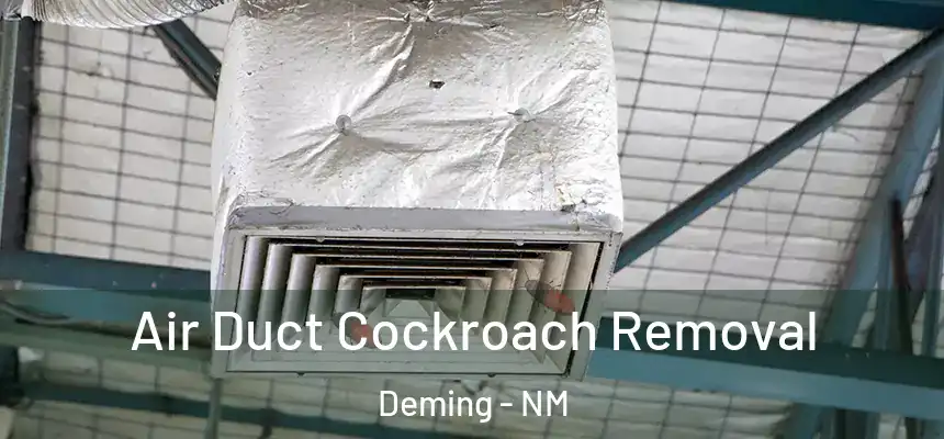Air Duct Cockroach Removal Deming - NM