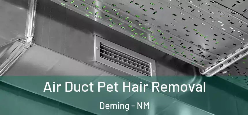  Air Duct Pet Hair Removal Deming - NM