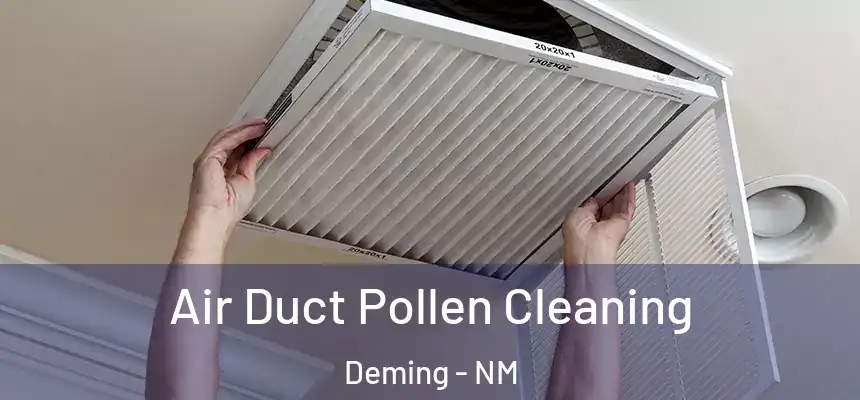  Air Duct Pollen Cleaning Deming - NM
