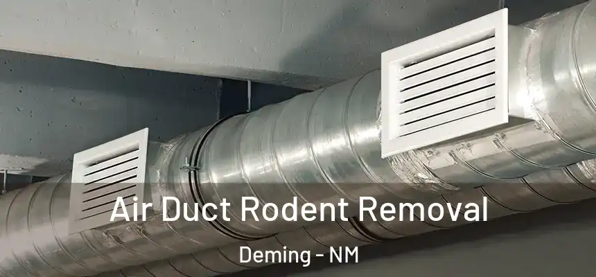  Air Duct Rodent Removal Deming - NM
