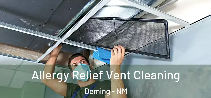  Allergy Relief Vent Cleaning Deming - NM