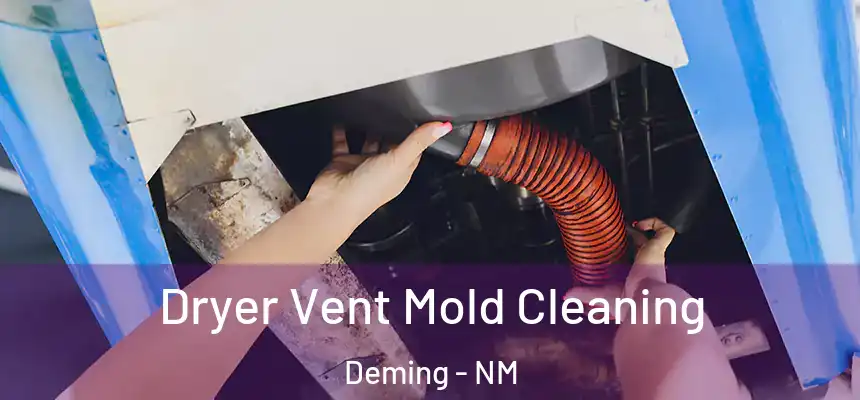  Dryer Vent Mold Cleaning Deming - NM