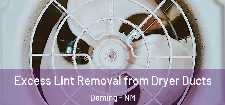  Excess Lint Removal from Dryer Ducts Deming - NM