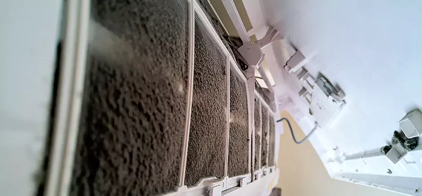 Preventive Air Duct Bacteria Removal in Deming