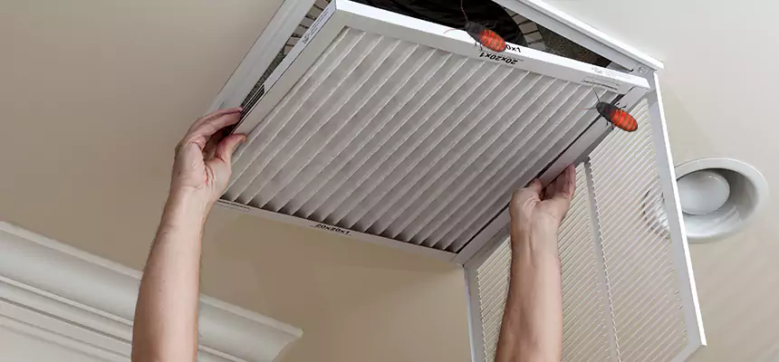 Preventive Cockroach-Proofing for Ducts in Deming