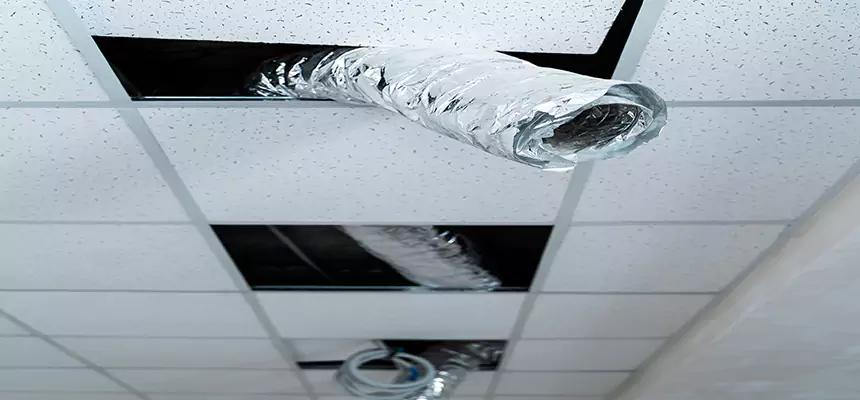 Affordable HVAC Sanitizing After Pest Removal in Deming