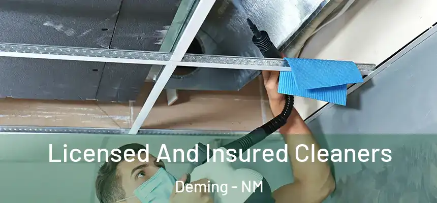  Licensed And Insured Cleaners Deming - NM