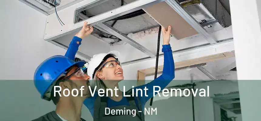  Roof Vent Lint Removal Deming - NM