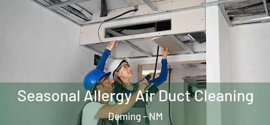  Seasonal Allergy Air Duct Cleaning Deming - NM