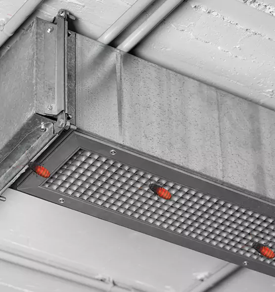 About Air Duct Cockroach Removal in Deming, NM