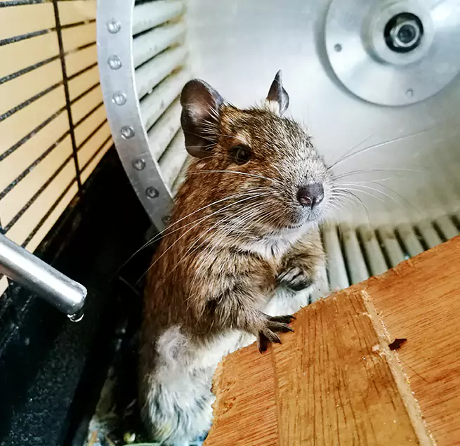 Why Homeowners & Businesses Trust Us Deming, NM?