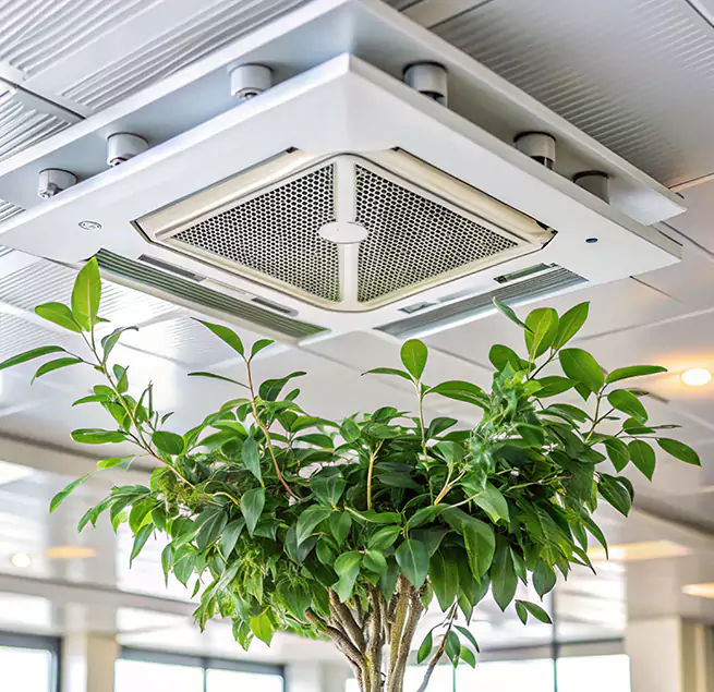 Why Homeowners & Businesses Trust Us in Deming, NM?